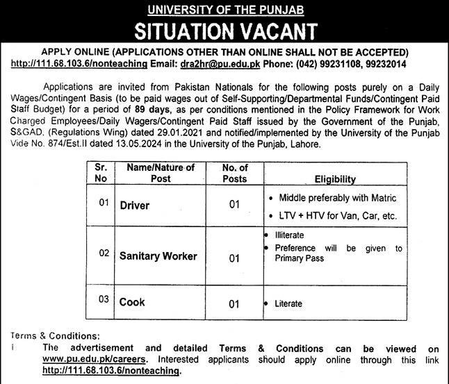 The University of Punjab Jobs 2024 PU Lahore Jobs Advertisement