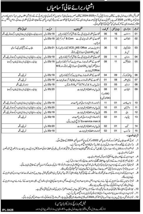 Social Welfare and Bait UL Maal Punjab Jobs 2024 Advertisement 